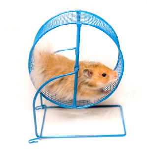 Stepping Off The Hamster Wheel of Performance